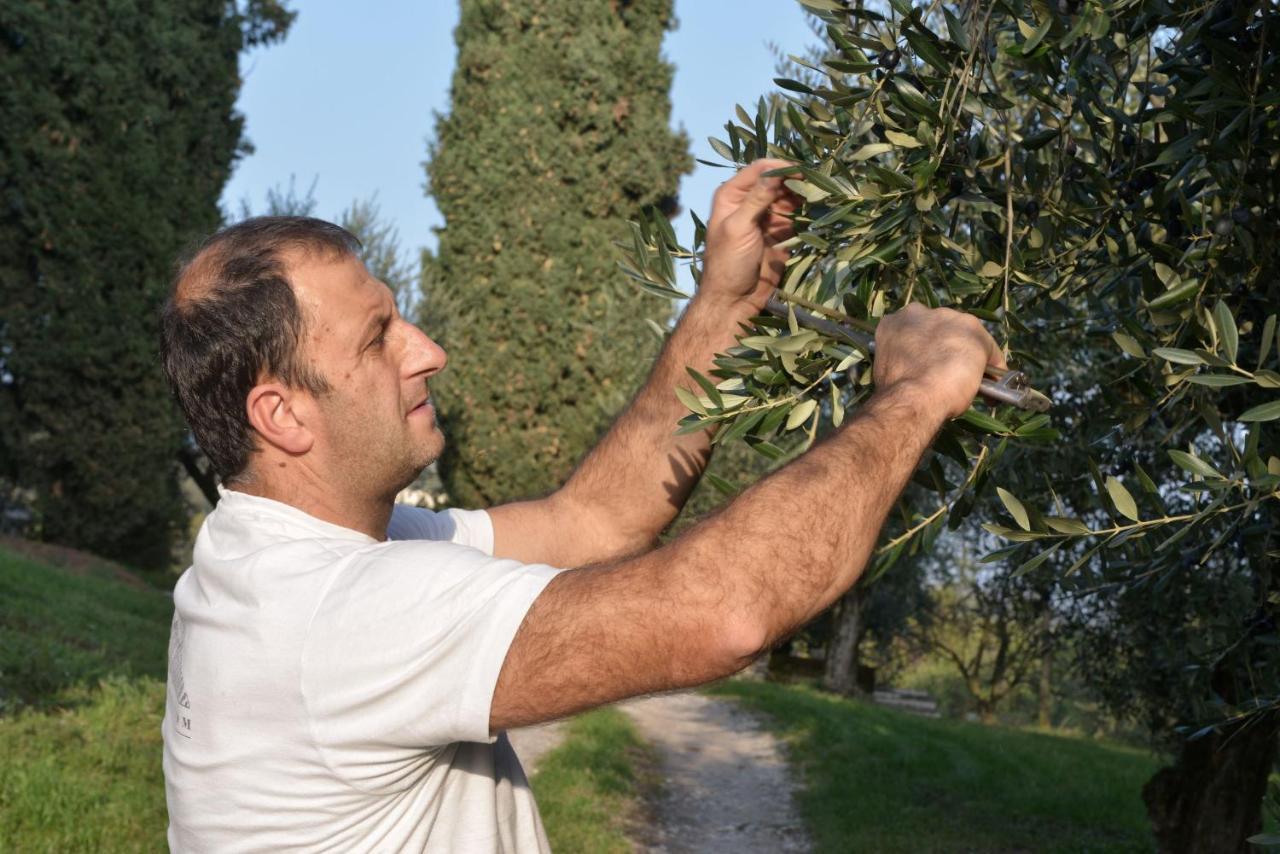 Agriturismo La Guarda Picedo Экстерьер фото