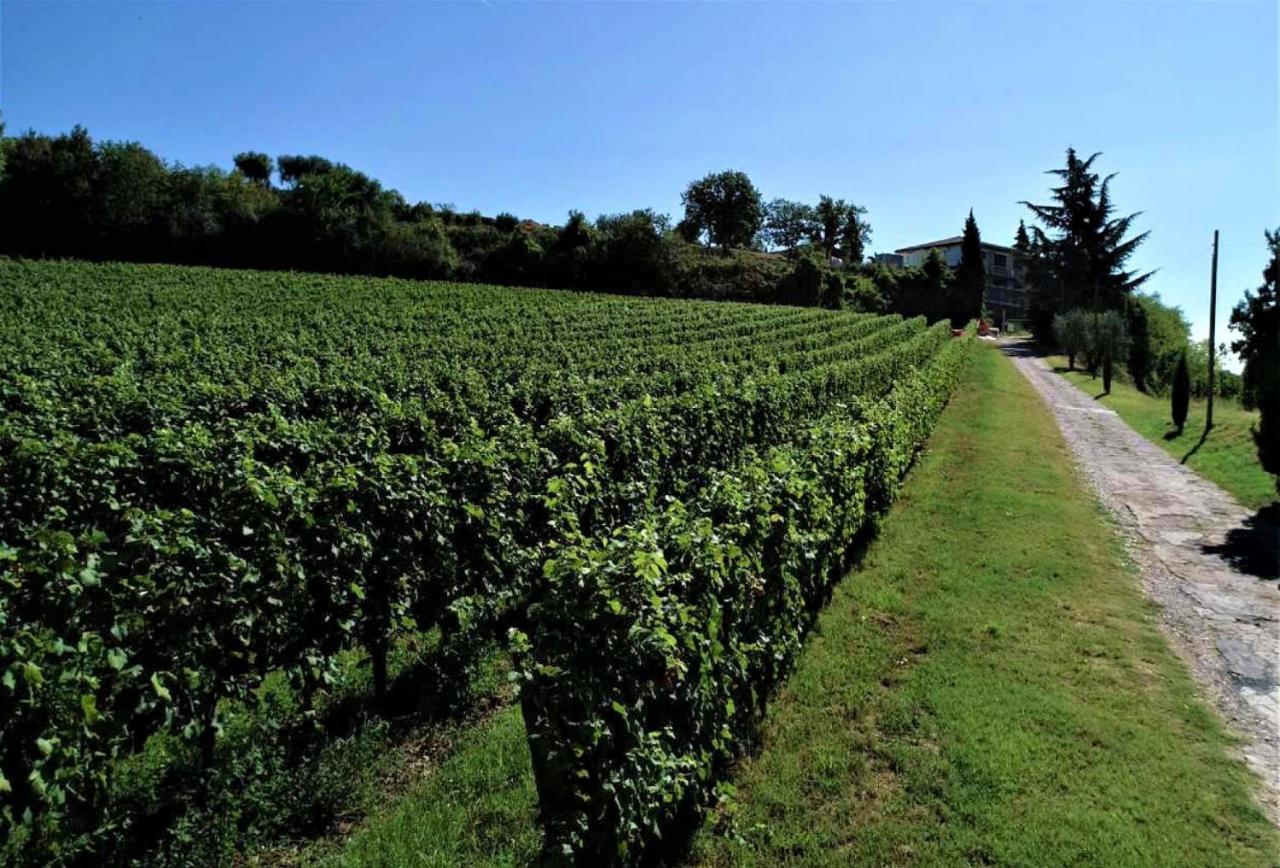 Agriturismo La Guarda Picedo Экстерьер фото